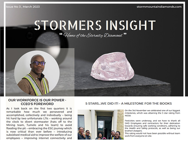 Stormers Insights March 2023